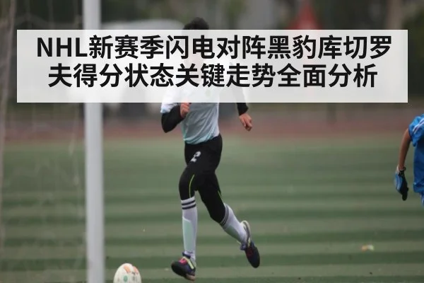 NHL新赛季闪电对阵黑豹库切罗夫得分状态关键走势全面分析